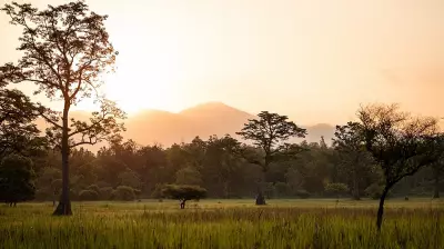 Global Economic Activities Accelerate Biodiversity Decline, Landmark Report Warns