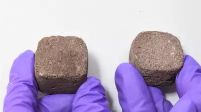 IISc Bengaluru Research Makes Martian Soil Bricks Possible with Toxic Chemical