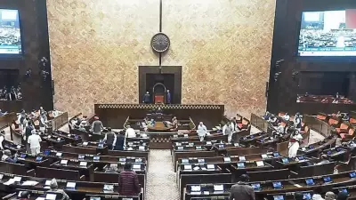 India's Exports to China Surge 37% to $14.2 Billion in April-December