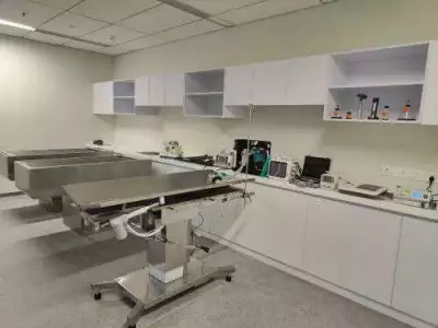 IRCTC Provides Emergency Medical Aid to Elderly Tourist in Vietnam, Ensures Safe Return