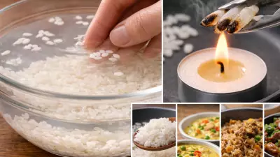 Is Your Rice Real? Simple Home Tests for 'Plastic Rice' & 5 Delicious Recipes