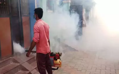 Madurai Corporation Hires 530 Contract Workers to Combat Mosquito-Borne Diseases