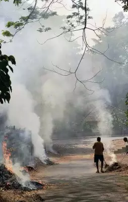 Plastic Waste Burning in DK Villages Sparks Health Alarm, NGO Urges Ministerial Action