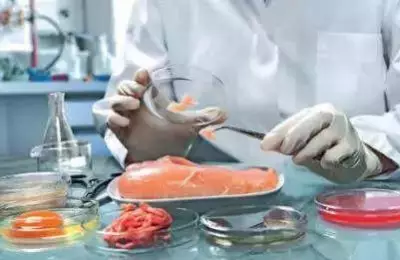 Telangana's Alarming Food Poisoning Deaths Highlight Systemic Food Safety Failures