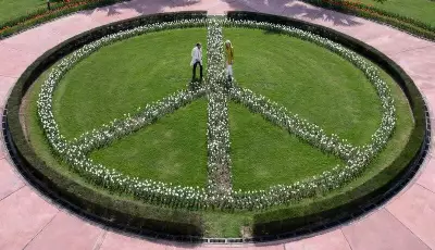 Tulips Bloom in Delhi, Fulfilling Dreams Inspired by Bollywood Classic 'Silsila'