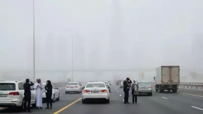 UAE's 'Red Alert' Fog Crisis: Zero Visibility Grips Emirates, Disrupts Travel