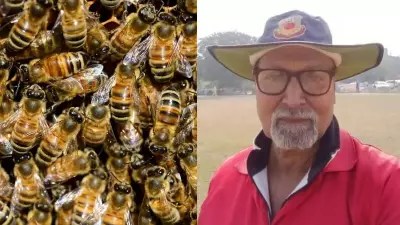 Umpire Manik Gupta Dies After Bee Attack During Under-13 Cricket Match in Unnao