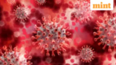 WHO Warns of Rare Nipah Virus Infection, Says Transmission Risk Low