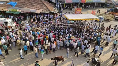 Woman's Death in Elephant Attack Sparks Protests in Karnataka's Chikkamagaluru