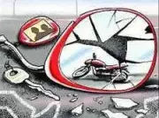 73-Year-Old Man Dies After Two-Wheeler Collides With Wild Boar in Chengalpet