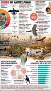 Ahmedabad Bird Atlas Reveals 181 Species, Highlights Urban Biodiversity Loss