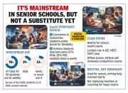 AI Becomes Routine Study Tool for Senior Students, Raises Mental Health Concerns
