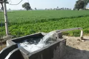 Alarming Uranium Levels Detected in Bathinda's Groundwater Supply