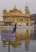 Amritsar's Holy City Plan Stalls, Leaving Meat and Alcohol Sellers in Limbo