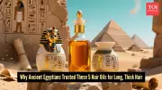 Ancient Egyptian Hair Oils: Natural Secrets for Strong, Long Locks