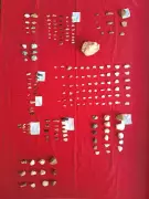 Ancient Stone Tools Discovered in Odisha's Ib Valley, Dating Back 40,000-60,000 Years