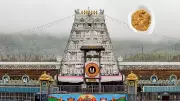 Andhra Pradesh Government Appoints Officials to Assist Tirupati Laddu Case Panel
