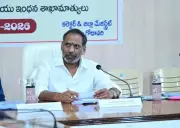 Andhra Pradesh to Release 46,000 Pending Free Electricity Connections for Farmers