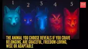 Animal Personality Test Goes Viral: What Your Animal Choice Reveals About You