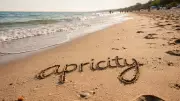 Apricity: The Warmth of the Sun in Winter - A Rare English Word