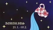 Aquarius Daily Horoscope: Financial Balance and Relationship Harmony