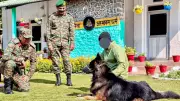 Army Dog Tyson Shot in Kishtwar Operation, Shows Courage in Terrorist Hunt