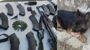 Army Dog Tyson's Heroic Charge Leads to Elimination of Three JeM Terrorists in Kishtwar
