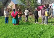 ATMA Project Drives Natural Farming Expansion in Mandi and Sundernagar