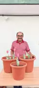 Bengaluru Gardener's Refrigerator Winter Grows European Tulips in Tropical Climate
