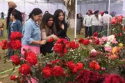 Chandigarh's 54th Swachh Rose Festival Concludes with Grand Prize Distribution