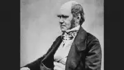 Charles Darwin's Enduring Legacy: From Evolution to Human Psychology