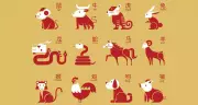 Chinese Horoscope Today: Daily Insights for All 12 Zodiac Signs