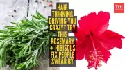 Combat Hair Fall Naturally: Rosemary and Hibiscus Remedies for Healthier Hair