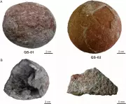 Crystal-Filled Dinosaur Eggs Found in China Reveal New Species Without Embryos