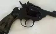 Delhi Police Head Constable Arrested for Allegedly Shooting ED Staffer at Wedding