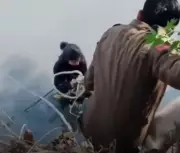 Delhi Woman Falls into Open Drain While Filming Reel, Sparks Safety Concerns