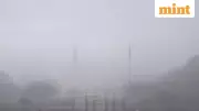 Dense Fog Advisory Issued for Louisiana, Mississippi: Travel Alert Details