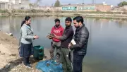 Dubai Returnee Builds Thriving Fish Farming Venture in Barnala, Punjab