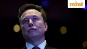 Elon Musk Suggests Amnesty for Epstein Victims Turned Traffickers