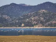 Explainer: The Critical Desilting Operation at Bhakra's Gobind Sagar Reservoir