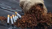 FAIFA Warns: Tobacco Tax Hike Threatens Millions of Livelihoods and Farmers