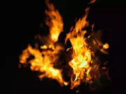 Family Injured in Delhi LPG Cylinder Blast, Woman and Dog Rescued in Separate Fire