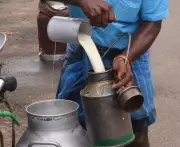 Food Safety Crackdown in Andhra Pradesh After Adulterated Milk Deaths