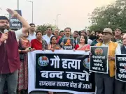 Former Rajasthan Minister Leads Cow Protection March After Alleged Calf Beheading