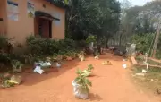 Former Student Destroys School Kitchen Garden Over Childhood Punishment Memory
