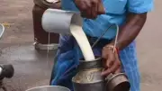 Four Dead, 12 Hospitalized in Rajahmundry Suspected Anuria Outbreak Linked to Adulterated Milk