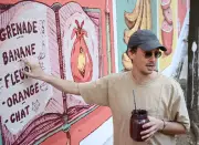 French Artist Transforms Pune School Wall with Vibrant Pomegranate Mural