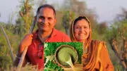 From IT Engineer to Moringa Mogul: How a Delhi Terrace Experiment Sparked a ₹30 Lakh Organic Empire