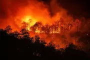Global Wildfire Risk Tripled Over 45 Years, Climate Change Fuels Crisis