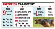 Goa Reports Single Rabies-Positive Dog Case in 2025, Maintains Human Rabies-Free Status